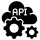 API Management