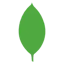 MongoDB