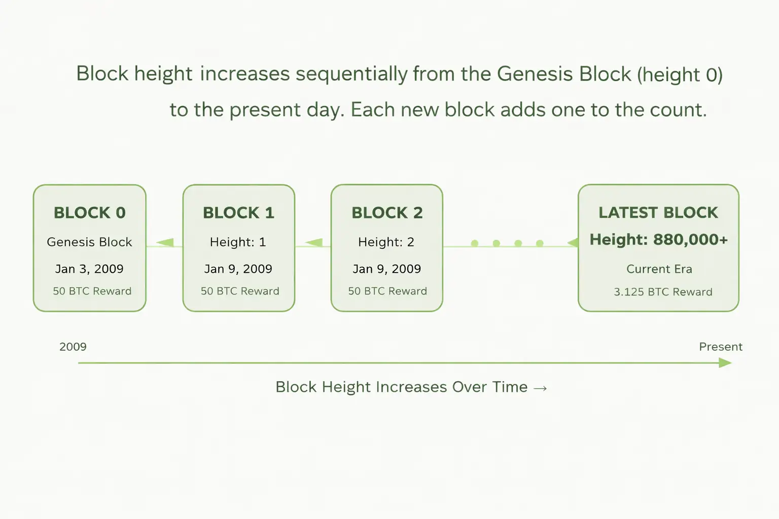 Block Height in Bitcoin