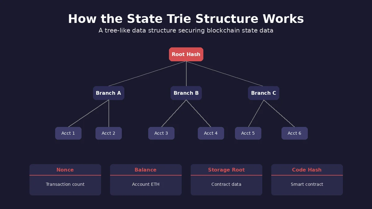state-trie-structure-overview