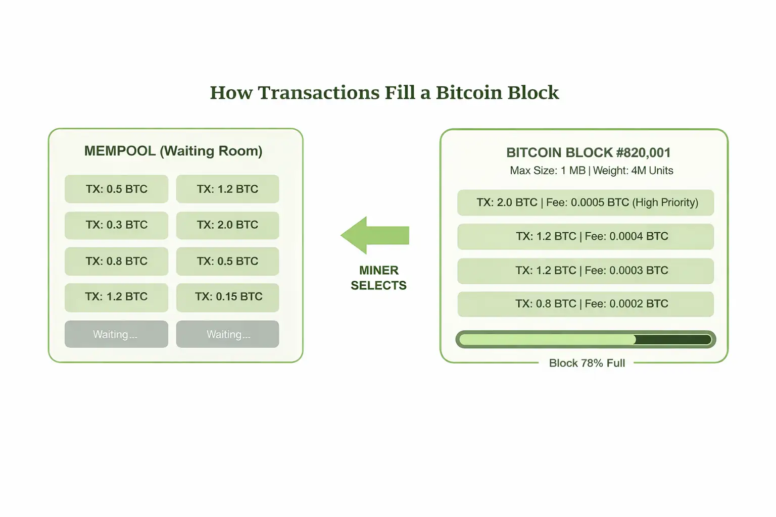 Block Size in Bitcoin