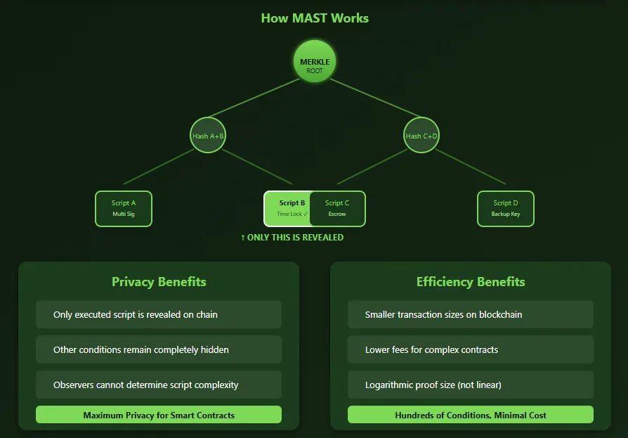 Taproot in Bitcoin network upgrade explained visually