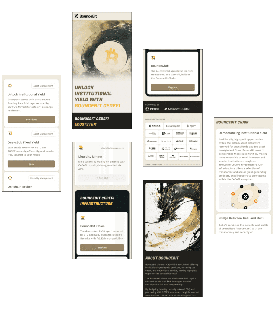 BounceBit Case Study on CeFi-DeFi Integrated Yield Solutions