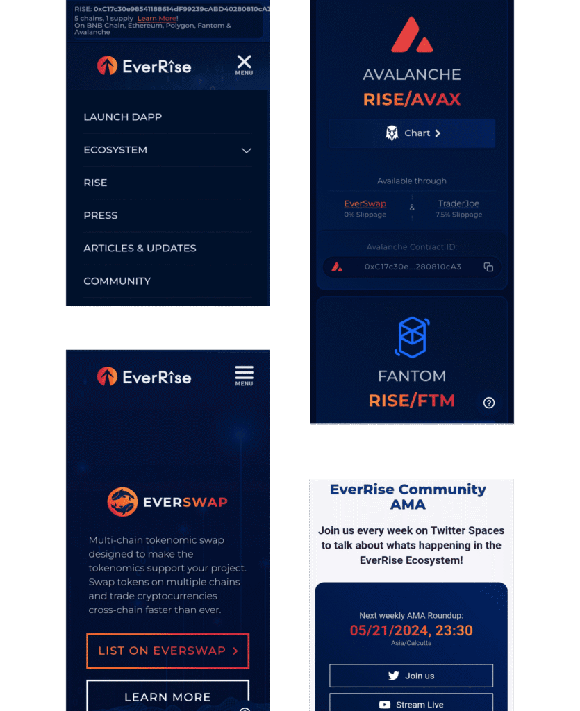 EverRise Token and Blockchain Case Study by Nadcab Labs