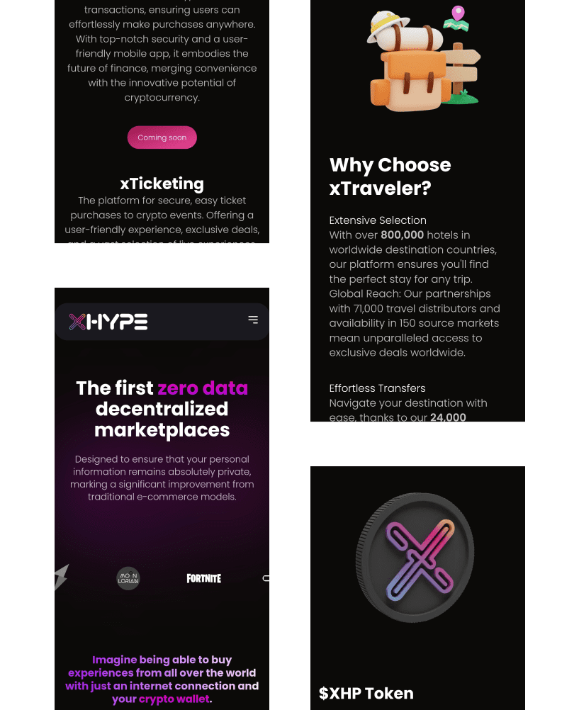 Xhype project approach result