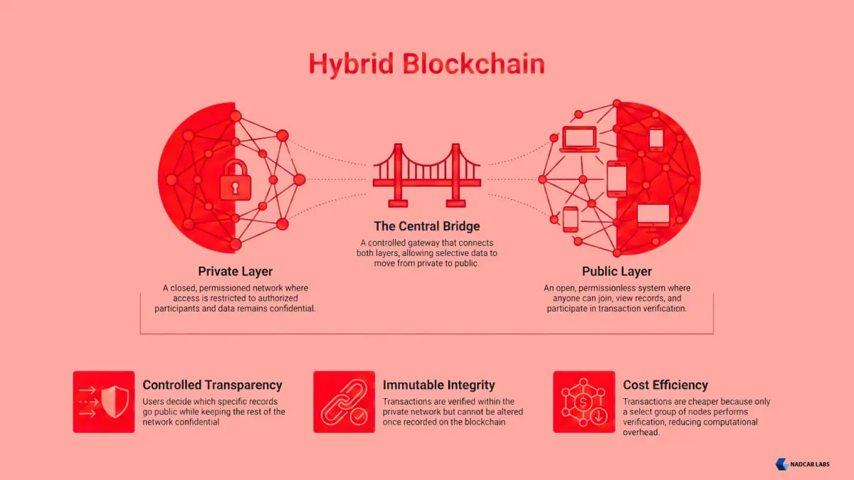 hybrid blockchain