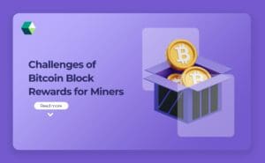 Bitcoin Block Rewards