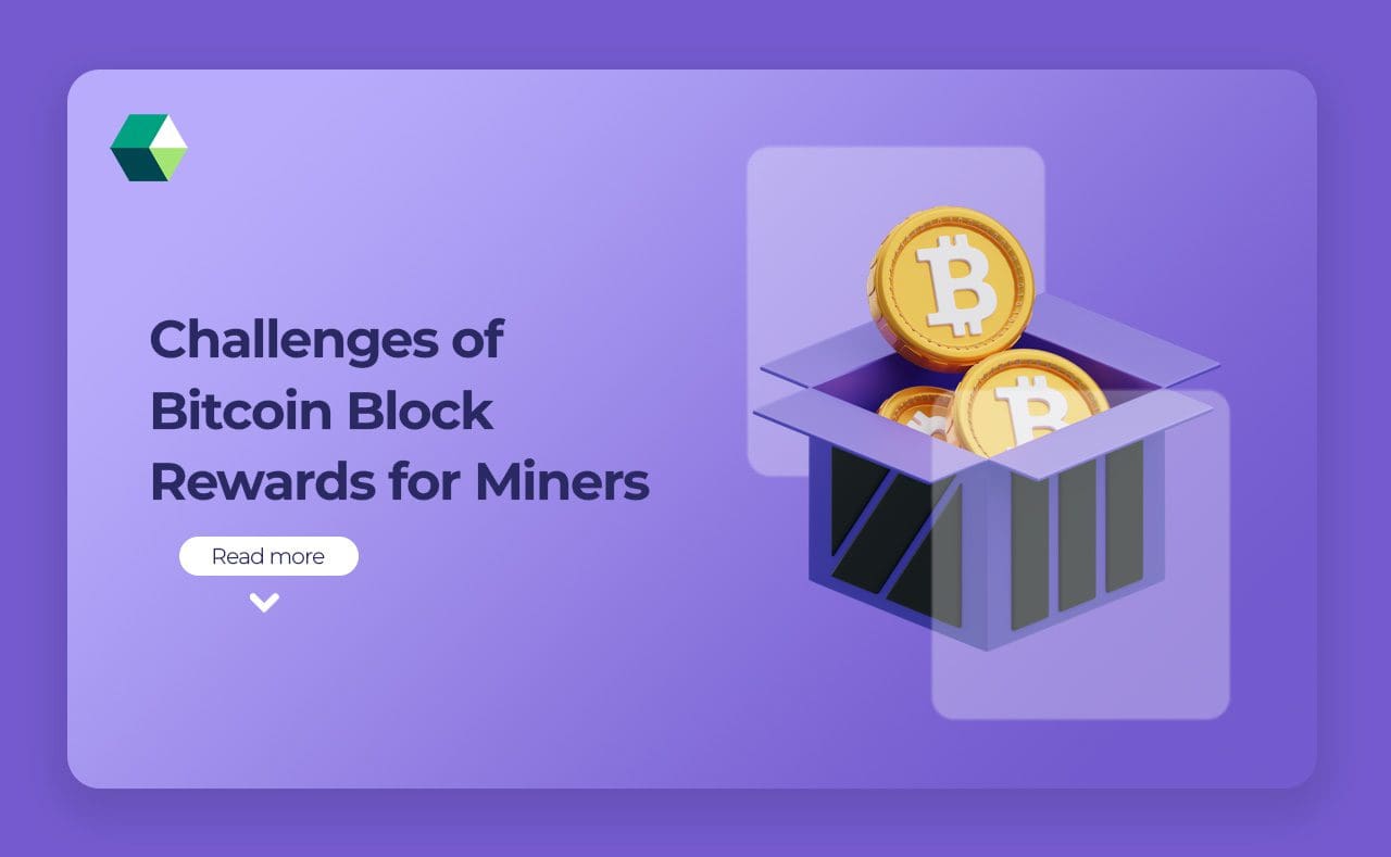 Bitcoin Block Rewards