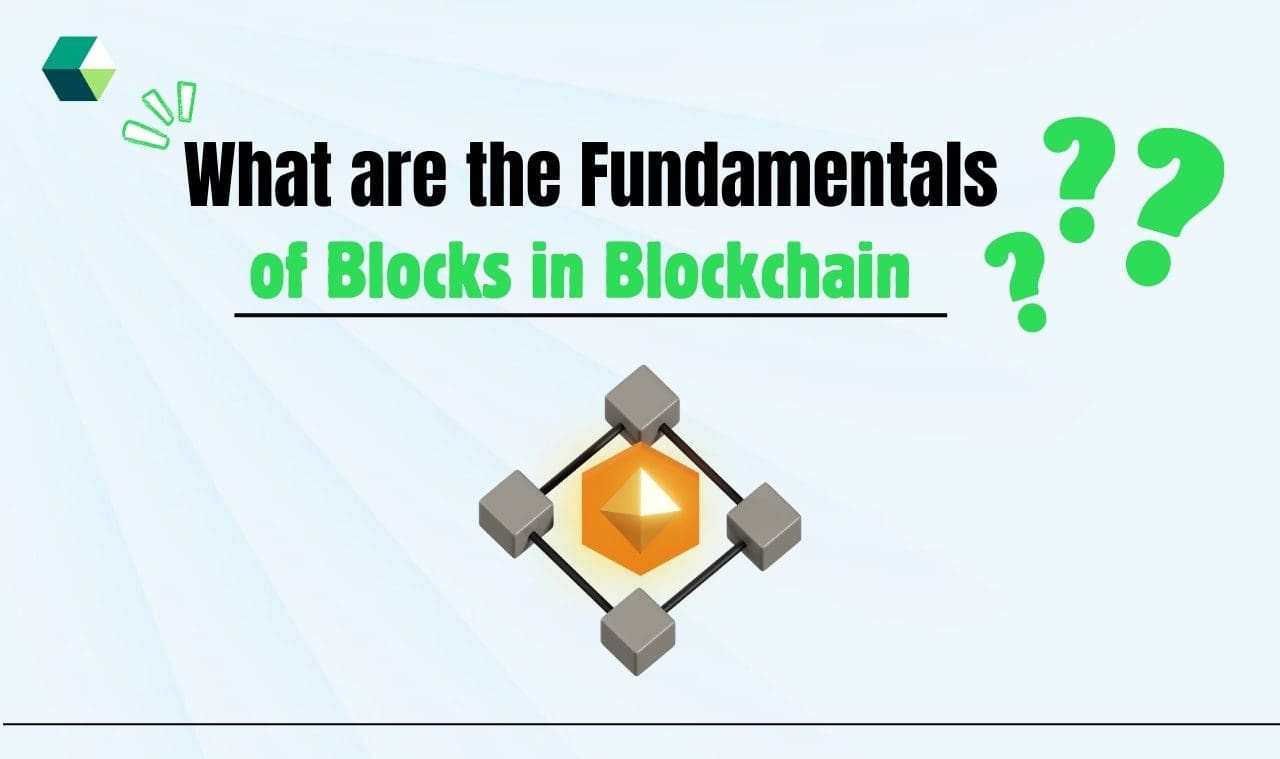 What are the Fundamentals of Blocks in Blockchain?