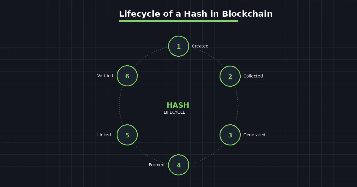 hash-lifecycle