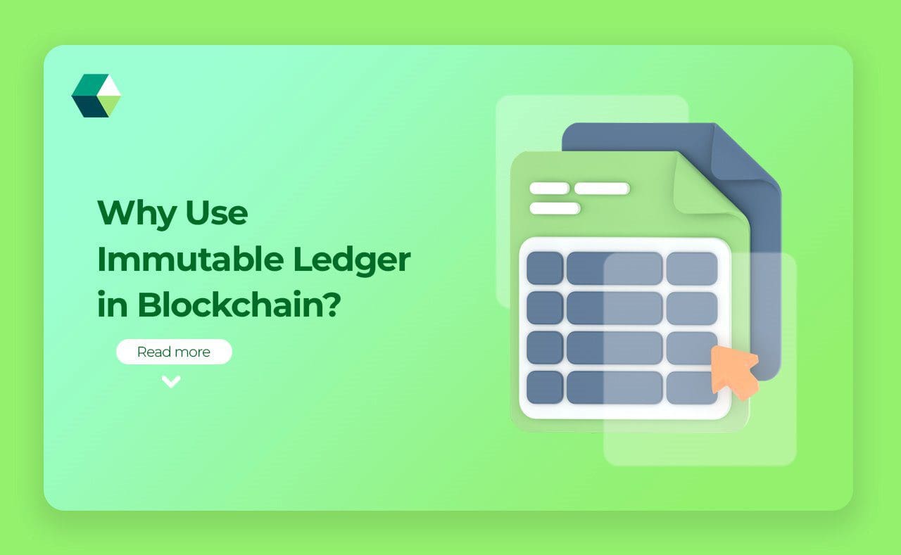 Why Use Immutable Ledger in Blockchain?