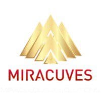 Miracuves Solutions