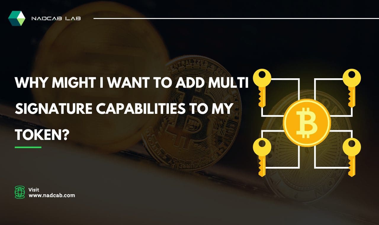 Why Might I want to add Multi-Signature Capabilities to my Token?