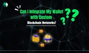 my wallet with custom blockchain networks