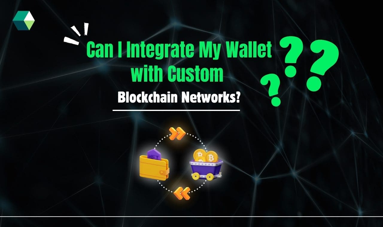 Can I Integrate My Wallet with Custom Blockchain Networks?