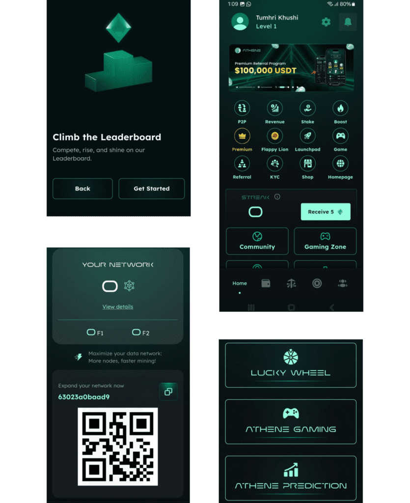 Athene Network Project Approach & Results