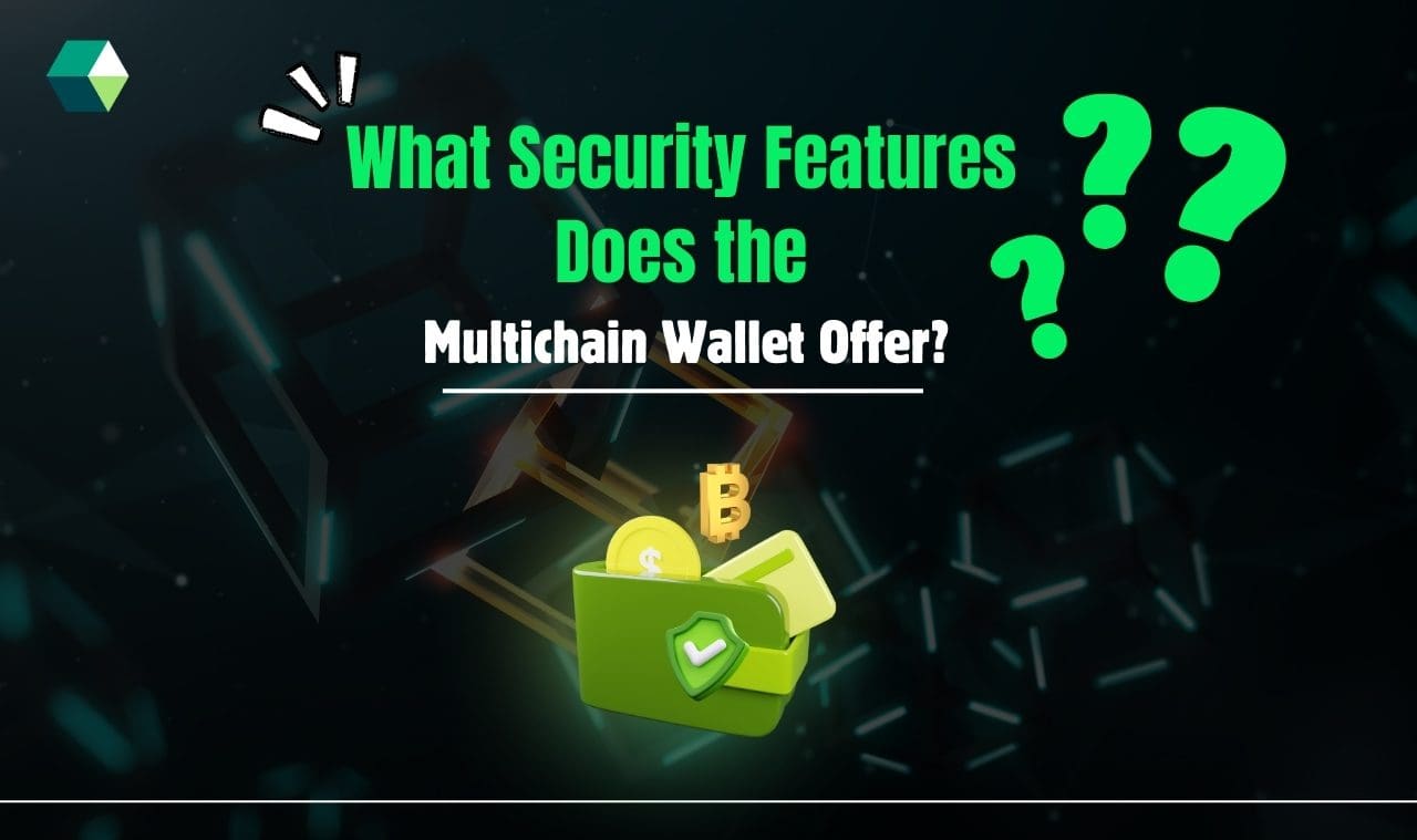 What Security Features Does the Multi Chain Wallet Offer?