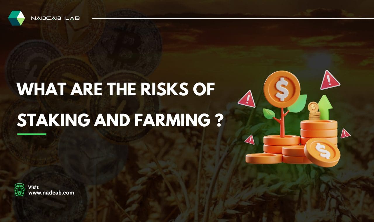 Risks of staking and farming