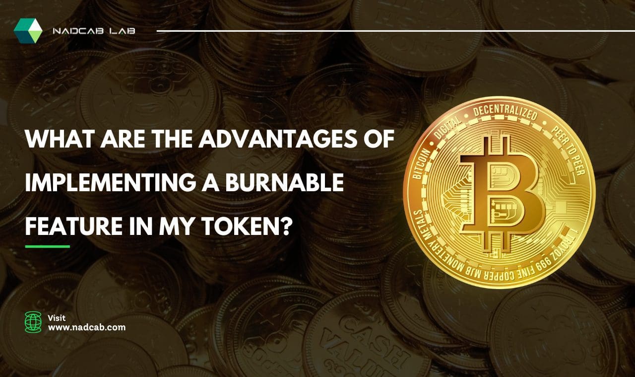 Burnable Token Innovation