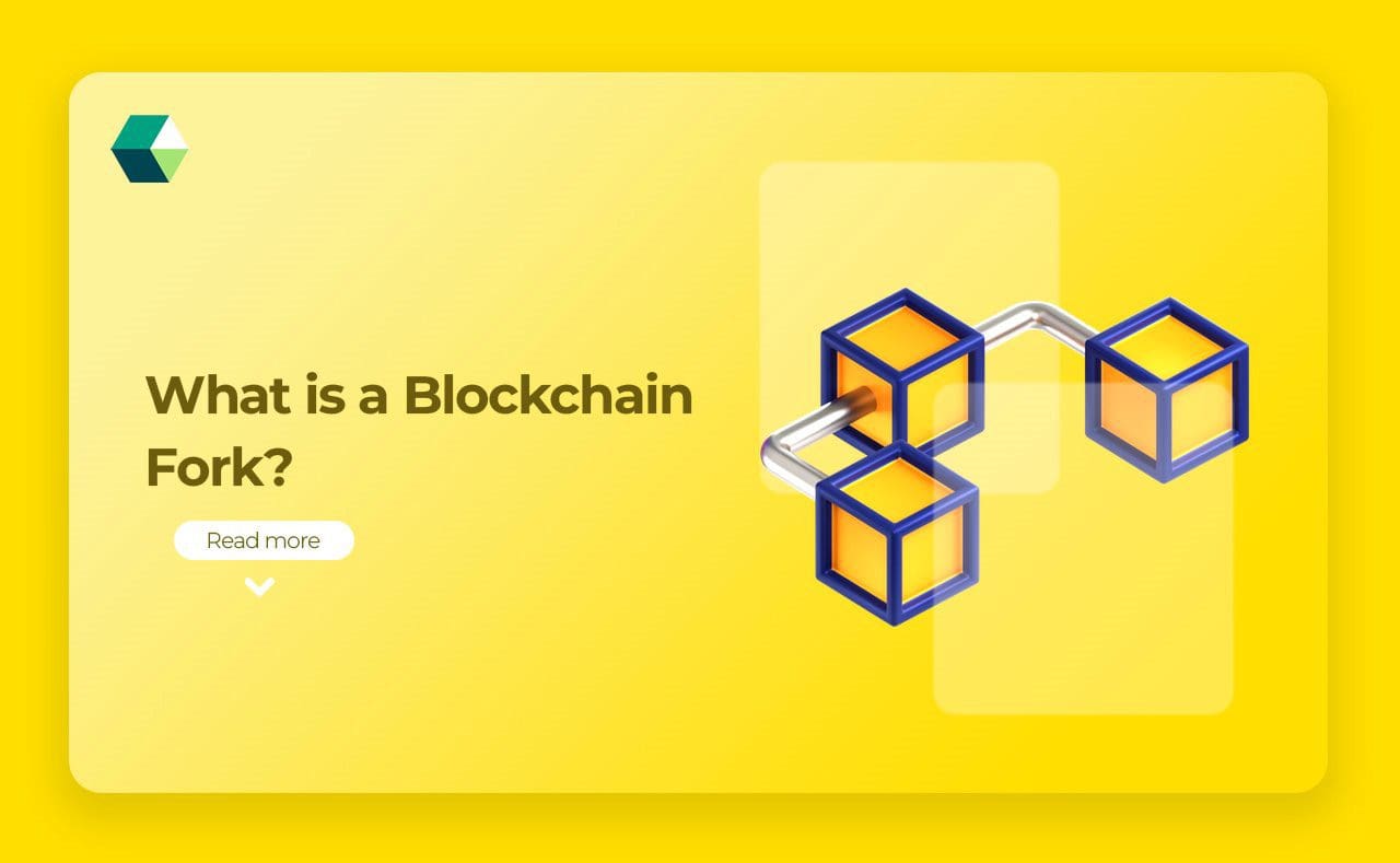 Explained Blockchain Fork in Blockchain Development