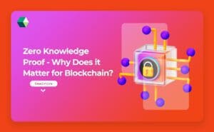 Zero Knowledge Proof