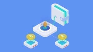 Crypto wallet benefits infographic