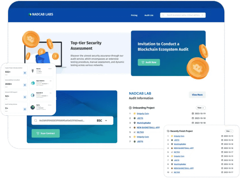 Penetration testing and vulnerability assessment icon
