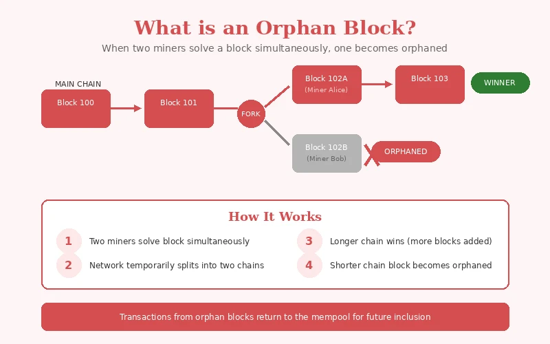 orphan-block-explained