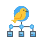 Canary