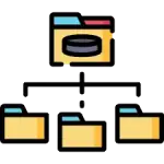File Organization & Page Structure