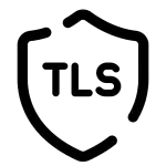 TLS (Transport Layer Security)