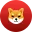 Meme Coin Development