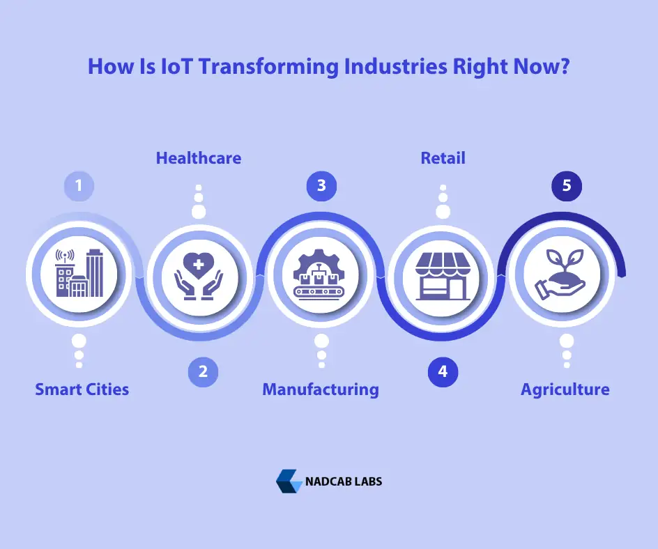 Real-World Use Cases of IoT Development