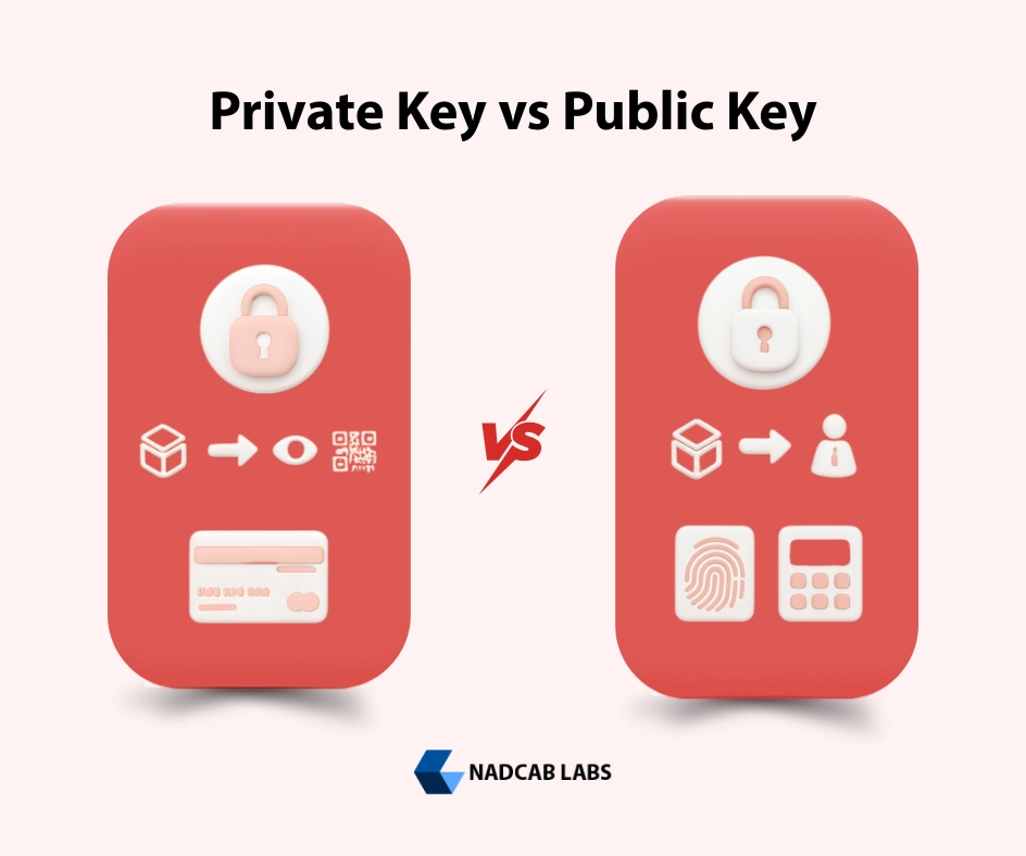 Comparison chart of Private vs Public Keys in Crypto Wallets showing differences in usage and security