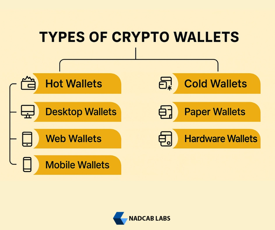 Illustration showing different types of crypto wallets with hot and cold wallet example