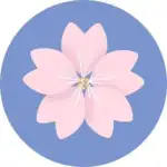 Bloom 560 M