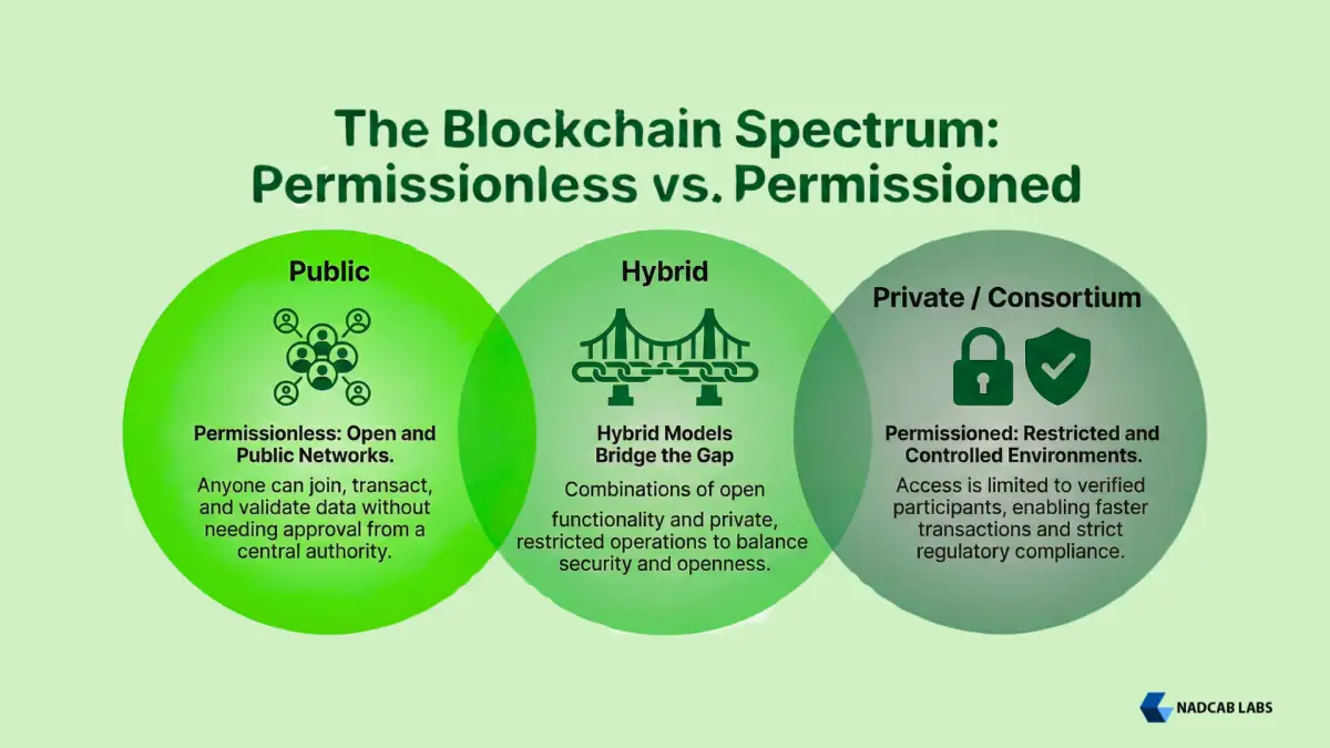 Permissioned vs Permissionless Uses in Blockchain Types