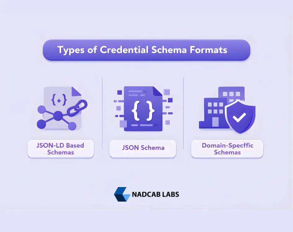 Types of Credential Schema Formats