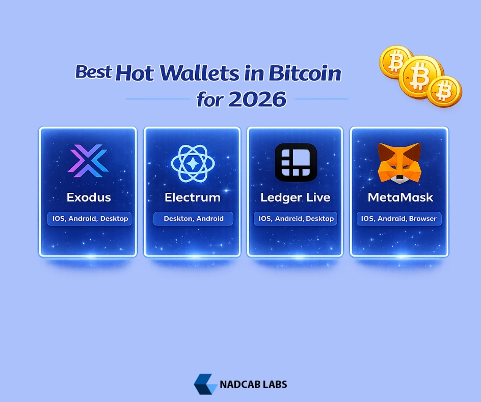 Best hot wallet options for Bitcoin in 2026 showing popular and secure crypto hot wallets