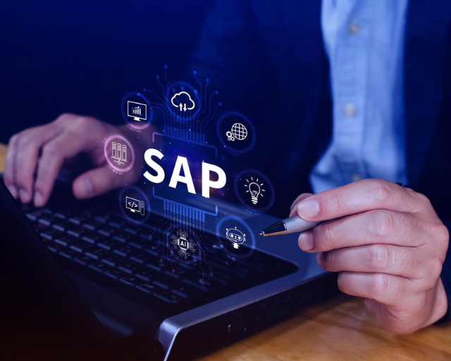 SAP Software Development Services