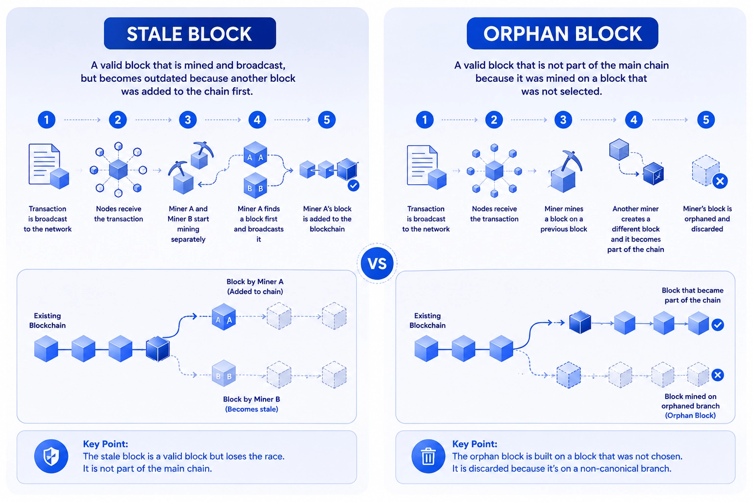 Stale block vs orphan block vs uncle block comparison showing how Bitcoin and Ethereum handle non canonical blocks differently