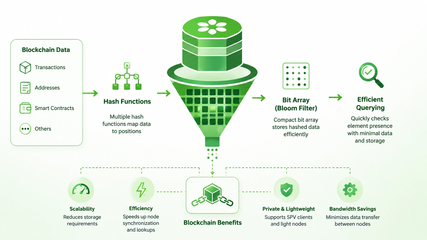 How a Bloom filter works in Bitcoin SPV nodes filtering transactions without downloading the full blockchain history