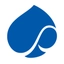 Capgemini Logo
